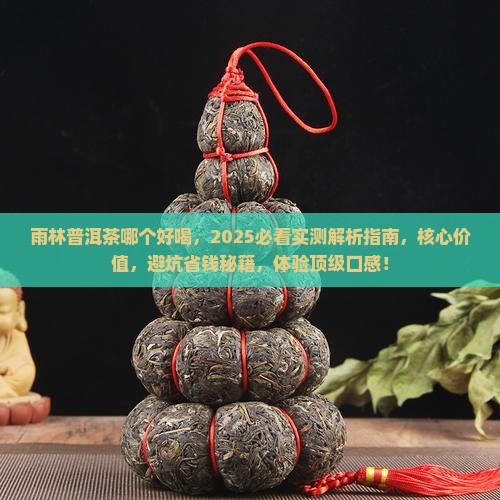 雨林普洱茶哪个好喝