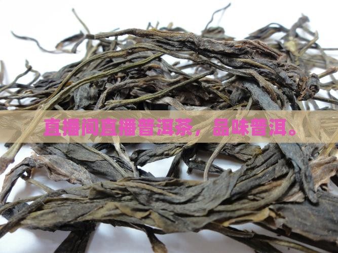 普洱茶直播间现场