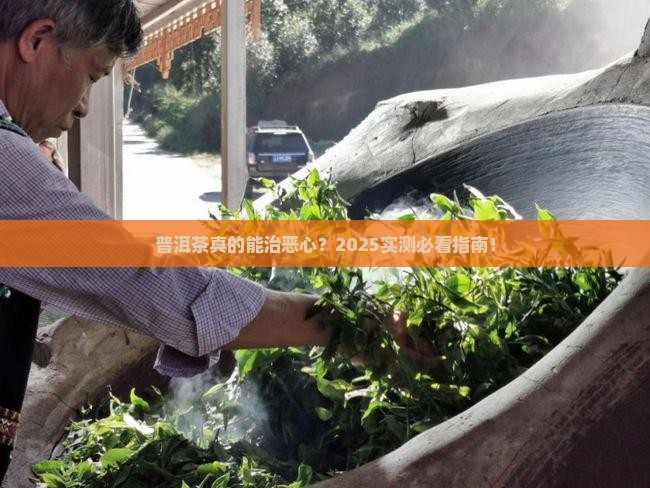 普洱茶治不治恶心