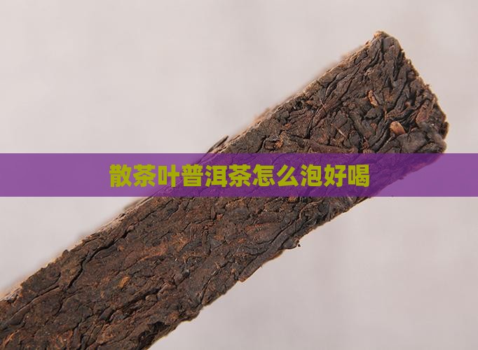散茶叶普洱茶怎么泡好喝