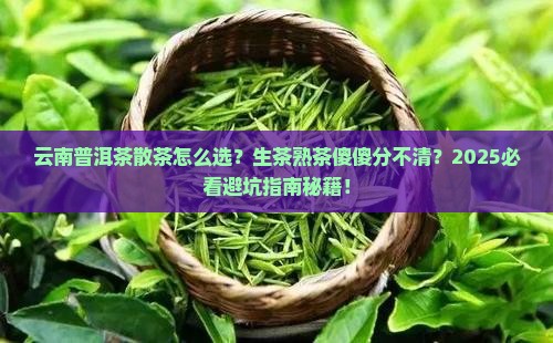 云南普洱茶散茶生茶还是熟茶
