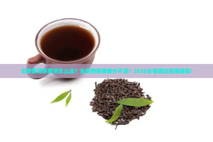 云南普洱茶散茶生茶还是熟茶