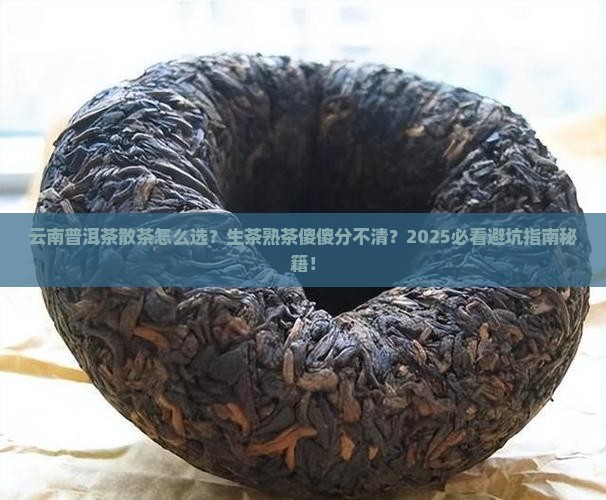 云南普洱茶散茶生茶还是熟茶
