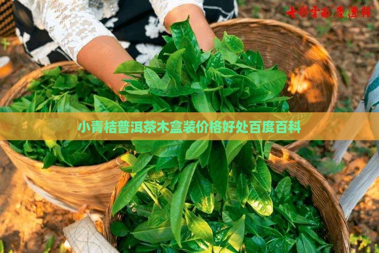 小青桔普洱茶木盒装