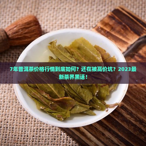 7年普洱茶价格行情