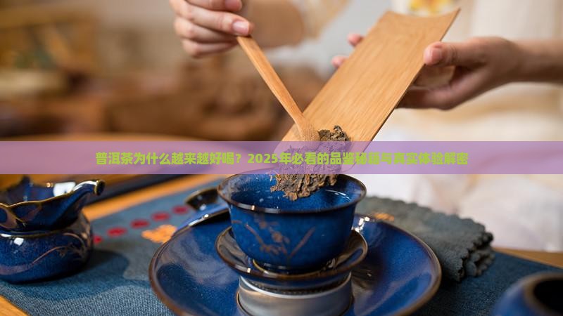 普洱茶变好喝的原因