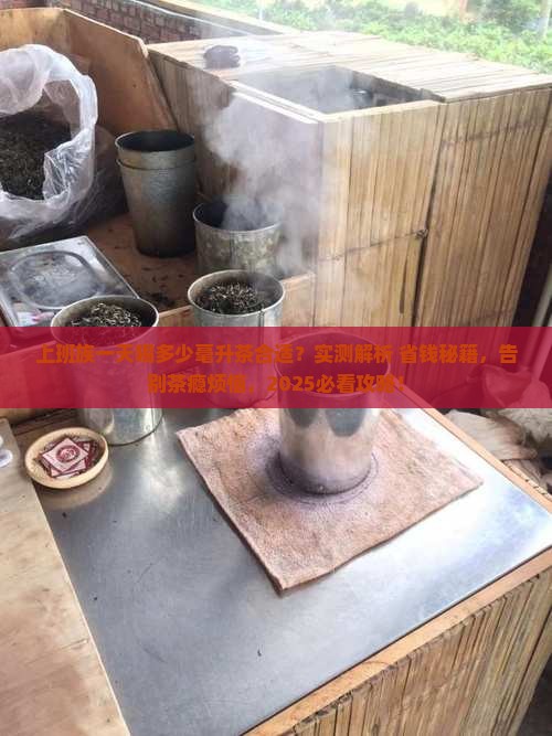 一天喝多少毫升茶合适