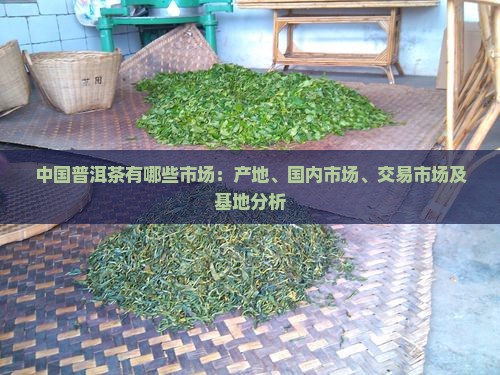 中国普洱茶有哪些市场
