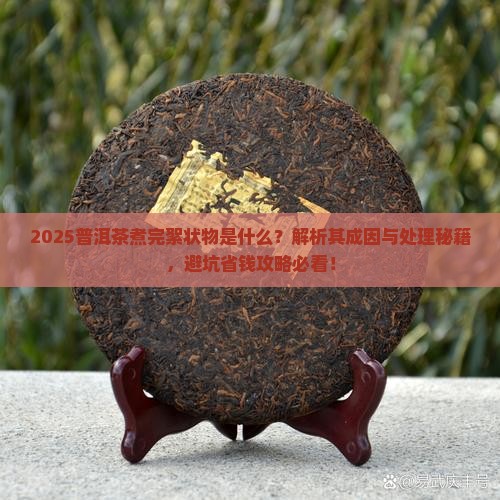 普洱茶煮完絮状物是什么