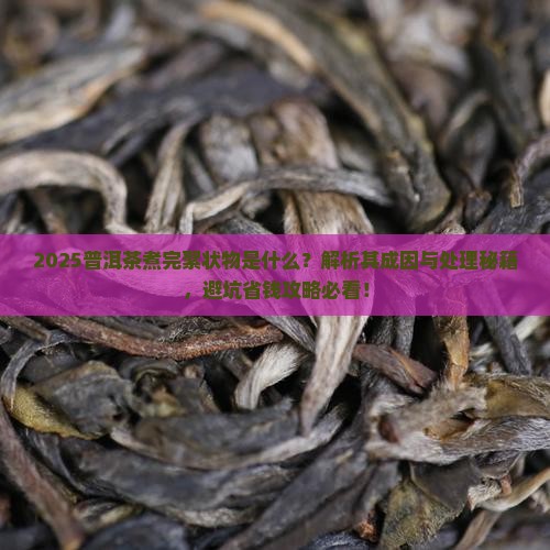 普洱茶煮完絮状物是什么