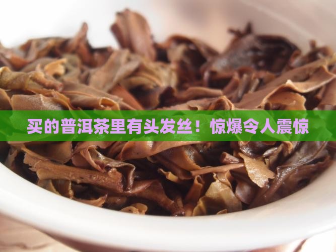 买的普洱茶里有头发丝