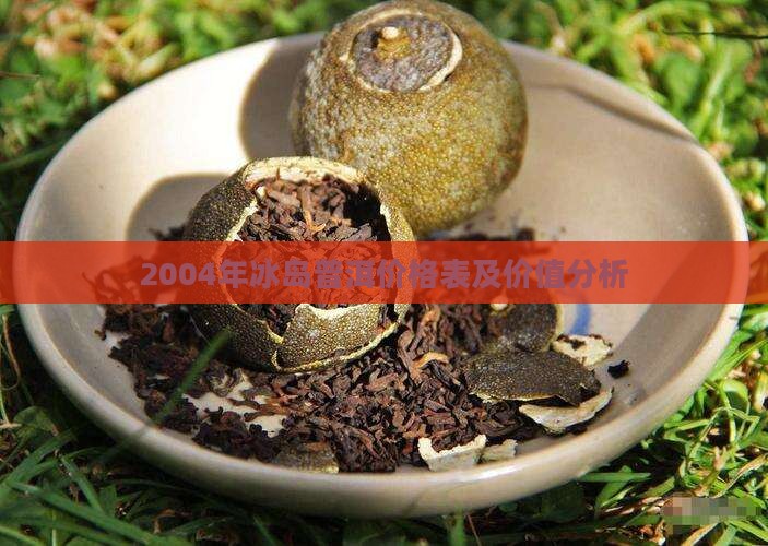2004年冰岛普洱