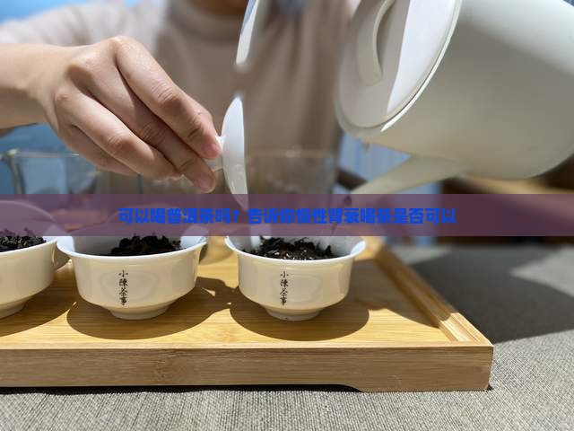 慢性肾衰能喝普洱茶吗