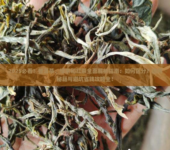 什么是普洱茶绿茶和红茶