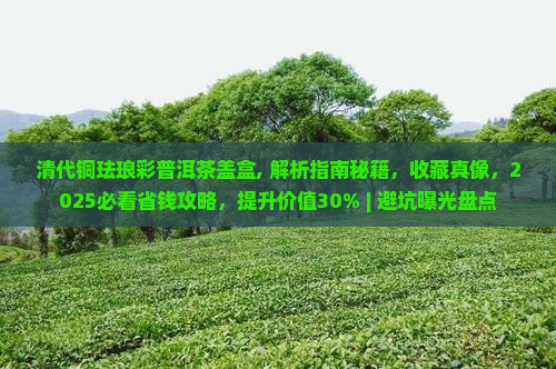 清代铜珐琅彩普洱茶盖盒