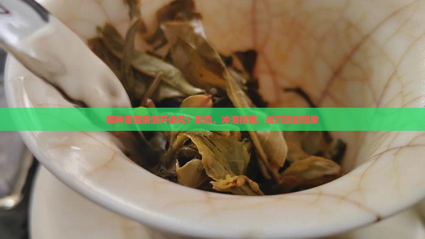 哪种普洱茶泡开像花