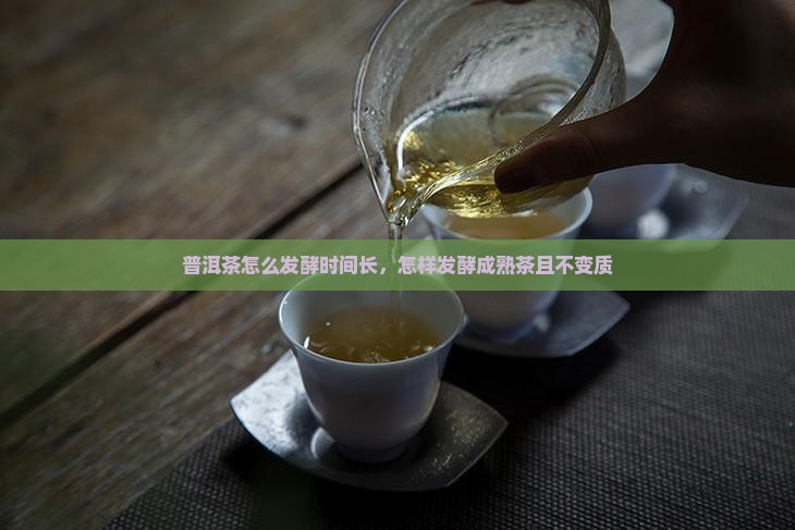 普洱茶怎么发酵时间长