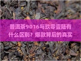 普洱茶9016与玖零壹陆