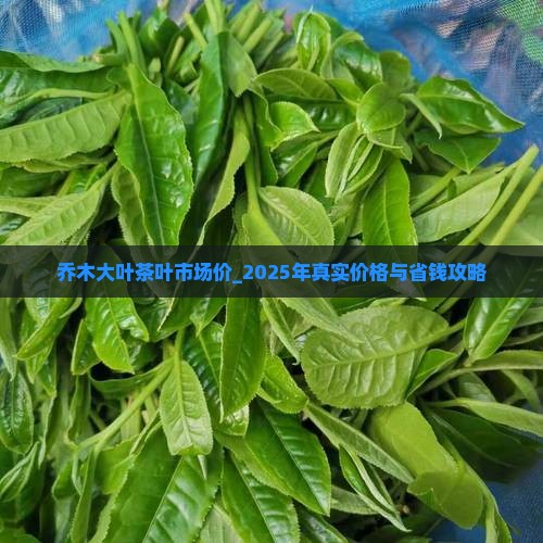 乔木大叶茶叶市场价