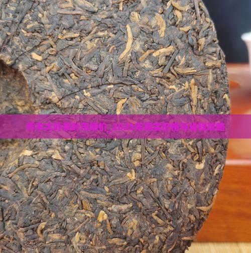 乔木大叶茶叶市场价