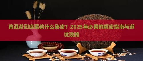 普洱茶研究的问题
