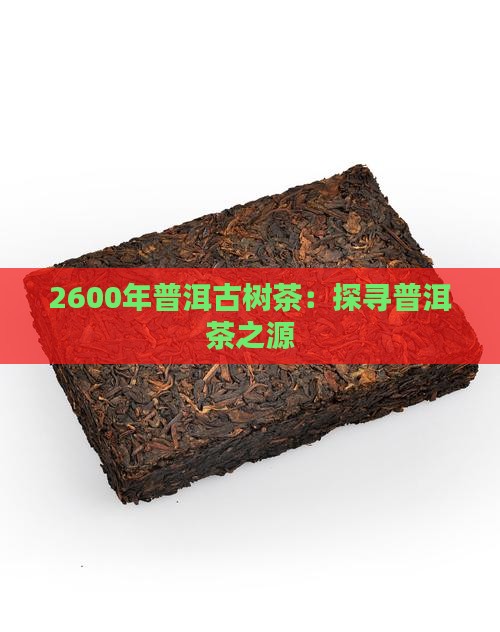 2600年普洱古树茶：探寻普洱茶之源