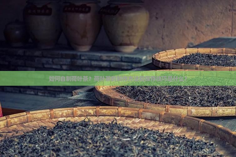 如何自制荷叶茶？荷叶茶的制作方法和保存技巧是什么？