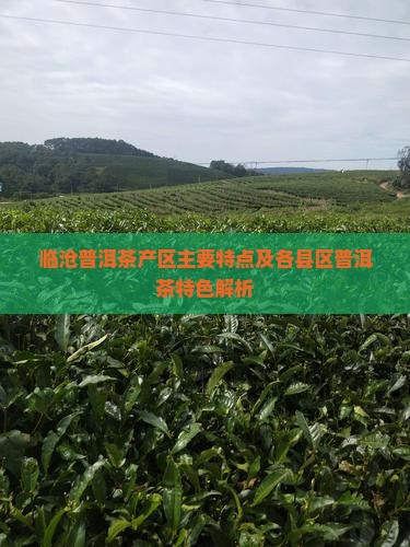 临沧普洱茶产区主要特点及各县区普洱茶特色解析