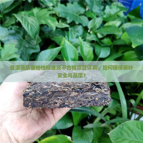 普洱茶质量抽检标准及不合格项目详解，如何确保茶叶安全与品质？