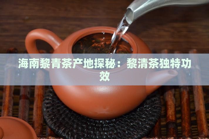 海南黎青茶产地探秘：黎清茶独特功效