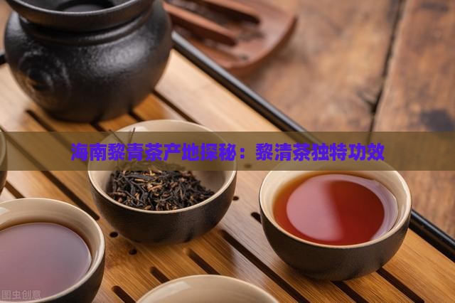 海南黎青茶产地探秘：黎清茶独特功效