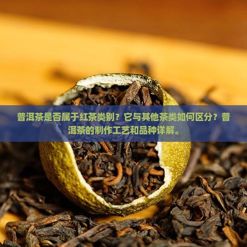 普洱茶是否属于红茶类别？它与其他茶类如何区分？普洱茶的制作工艺和品种详解。