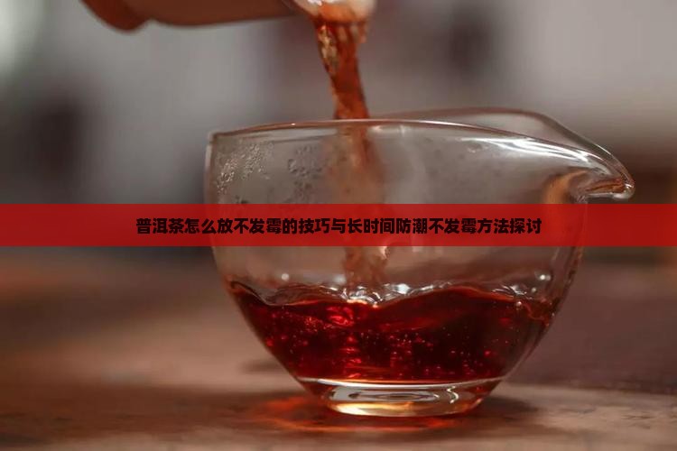 普洱茶怎么放不发霉的技巧与长时间防潮不发霉方法探讨