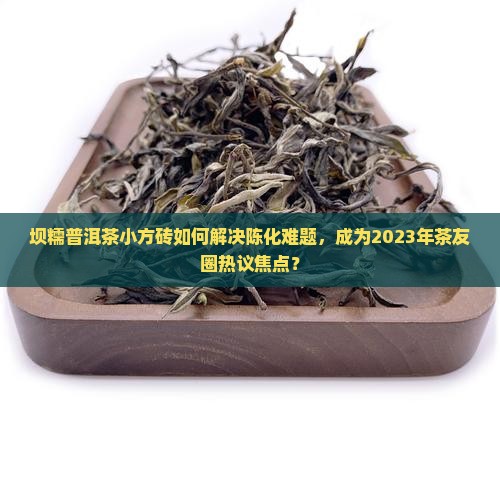 坝糯普洱茶小方砖如何解决陈化难题，成为2023年茶友圈热议焦点？