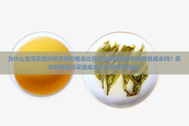 为什么普洱茶直供茶农的价格会比较缚直供模式真的能降低成本吗？茶农的种植与采摘成本对价格有影响吗？