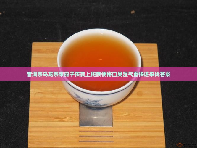 普洱茶乌龙茶莱菔子茯芸上班族便秘口臭湿气重快进来找答案