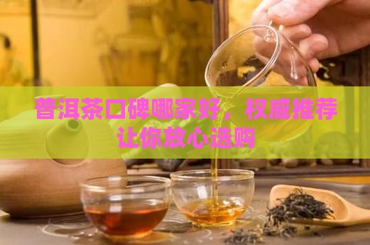 普洱茶口碑哪家好，权威推荐让你放心选购