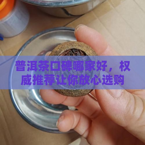 普洱茶口碑哪家好，权威推荐让你放心选购