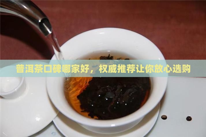 普洱茶口碑哪家好，权威推荐让你放心选购