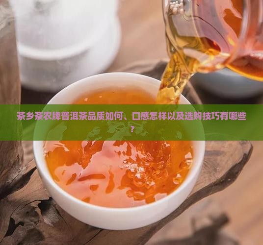 茶乡茶农牌普洱茶品质如何、口感怎样以及选购技巧有哪些？