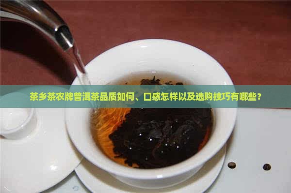茶乡茶农牌普洱茶品质如何、口感怎样以及选购技巧有哪些？