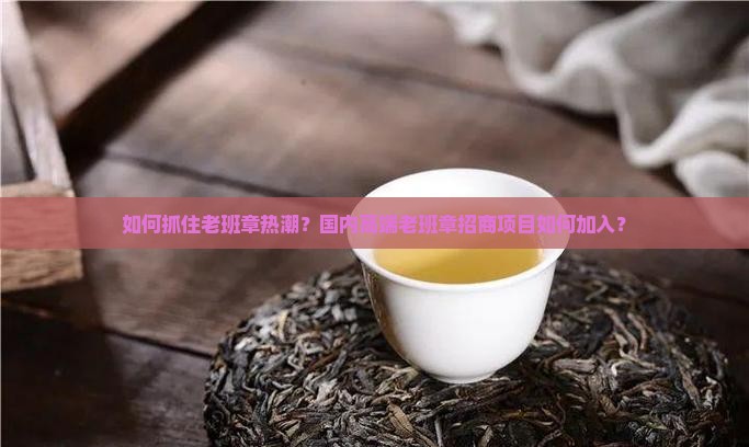 如何抓住老班章热潮？国内高端老班章招商项目如何加入？