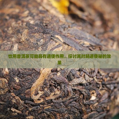 饮用普洱茶可能具有通便作用，探讨其对肠道便秘的效果