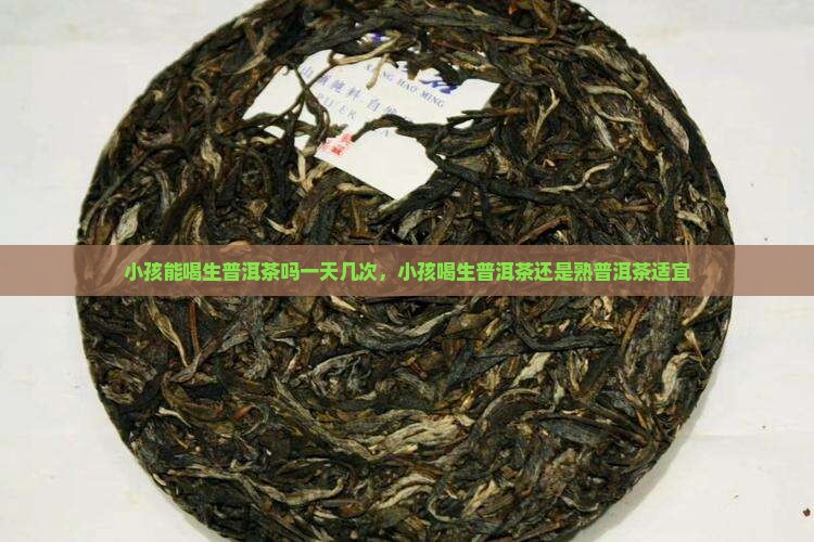 小孩能喝生普洱茶吗一天几次，小孩喝生普洱茶还是熟普洱茶适宜