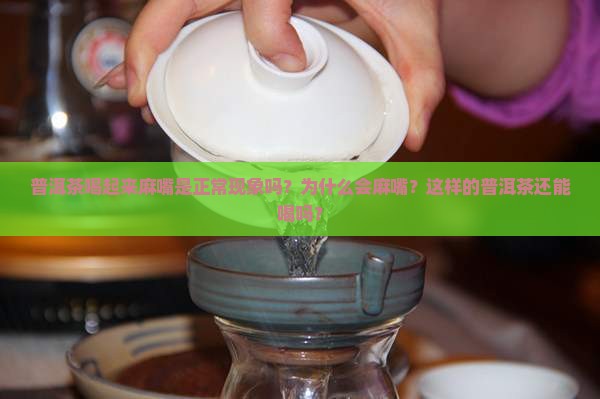 普洱茶喝起来麻嘴是正常现象吗？为什么会麻嘴？这样的普洱茶还能喝吗？