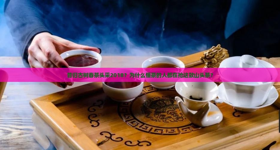 昔归古树春茶头采2018？为什么懂茶的人都在抢这款山头茶？
