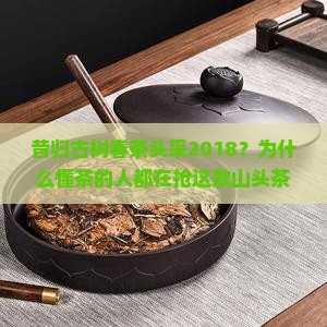 昔归古树春茶头采2018？为什么懂茶的人都在抢这款山头茶？