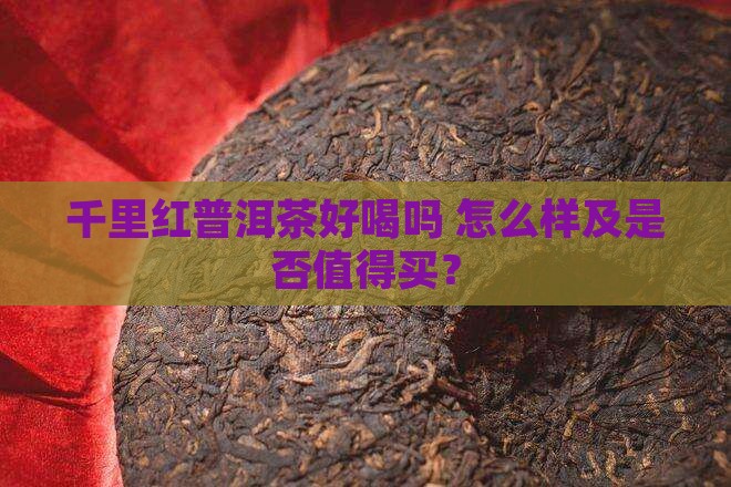千里红普洱茶好喝吗 怎么样及是否值得买？
