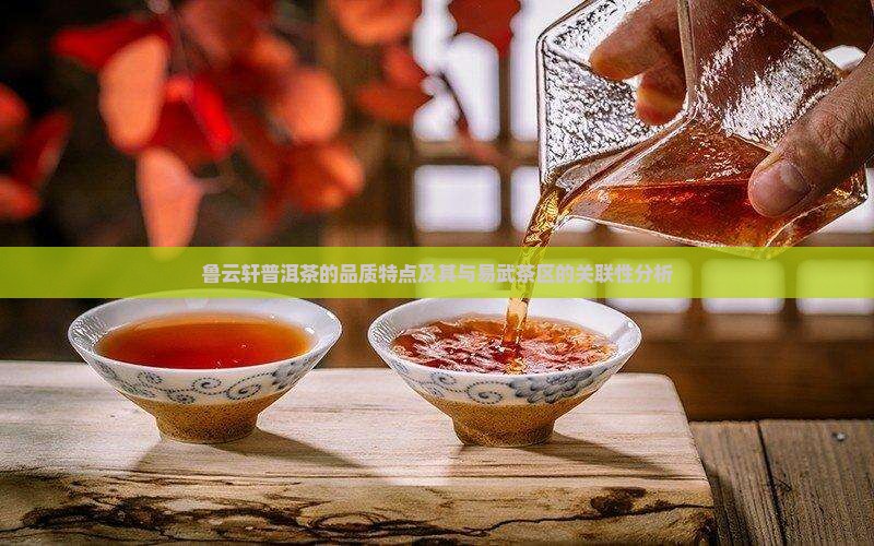 鲁云轩普洱茶的品质特点及其与易武茶区的关联性分析