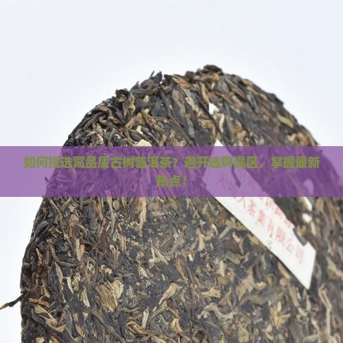 如何挑选高品质古树普洱茶？避开选购误区，掌握最新热点！